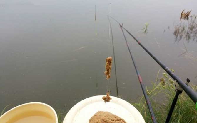 黑坑偷驴是什么意思？