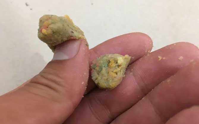 搓饵钓鲤鱼调几钓几最好？