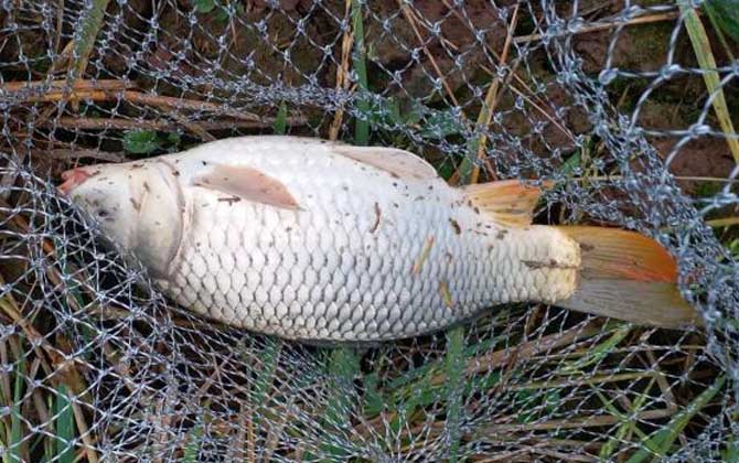 野钓气压多少适合钓鱼？