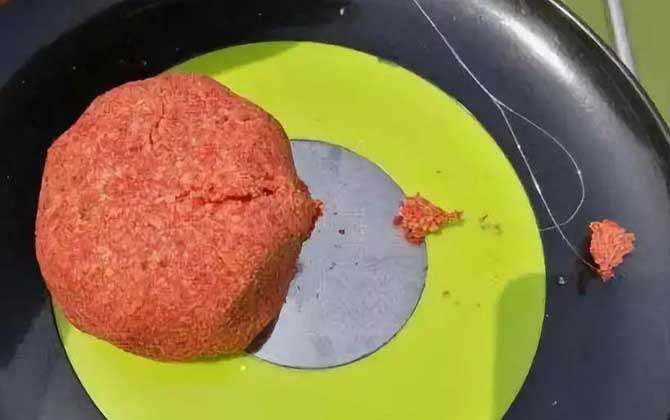 天热用什么饵料钓鱼好