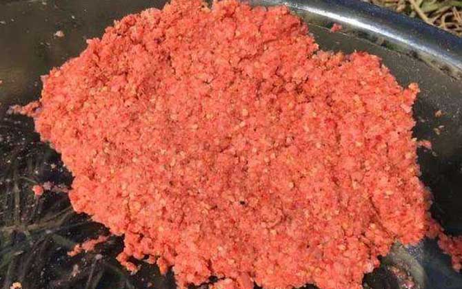 冬季钓鱼用什么味型饵料