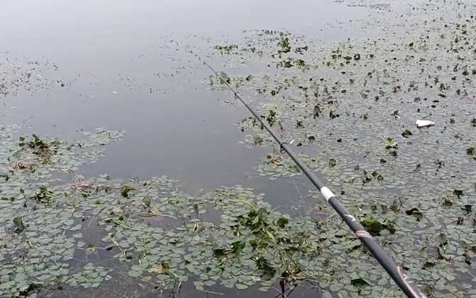 滑漂钓法用什么饵料好