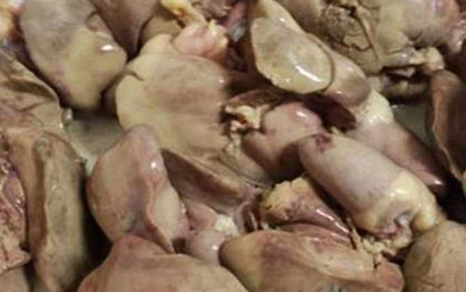 鸡肝钓鱼要不要煮熟