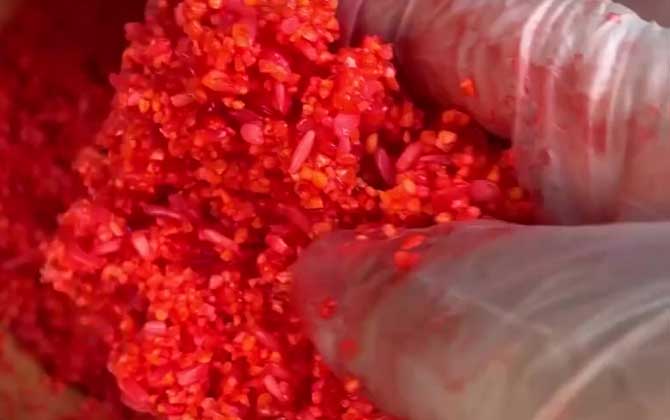 冬季钓鱼用什么酒米打窝