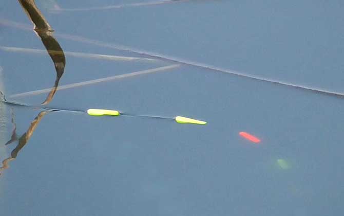 七星漂流水能钓鱼吗